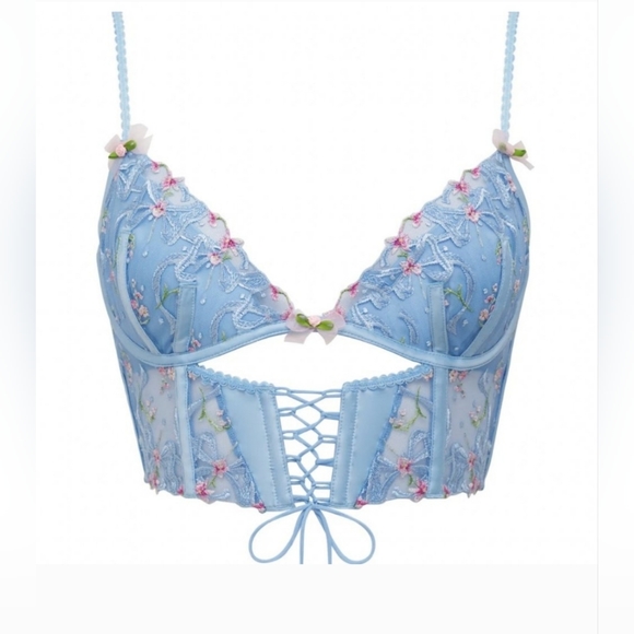 For Love and Lemons Victoria's Secret VS Bell Bow Bustier 38C - Picture 6 of 13